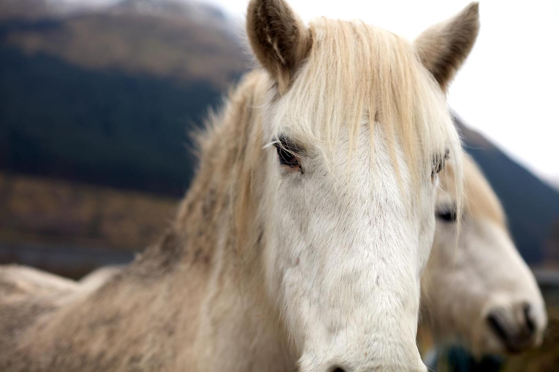 Monachyle Mhor Hotel Lochearnhead Zewnętrze zdjęcie